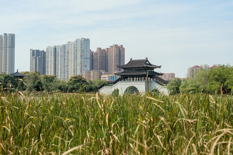 Urban Green Space