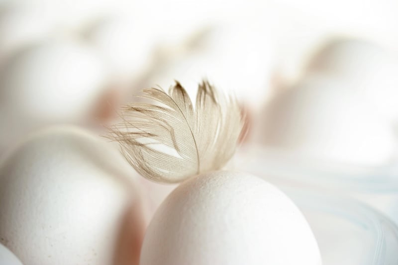 Eggshell Fertilizer